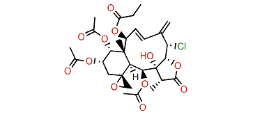 Fragilolide C